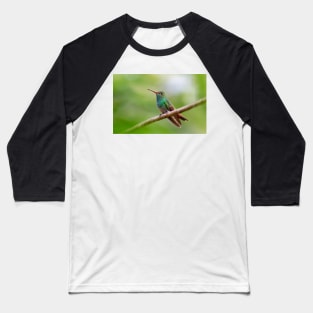 Rufous-tailed hummingbird - Costa Rica Baseball T-Shirt